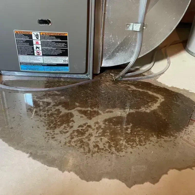 Appliance Leak Cleanup in Delaware County, NY